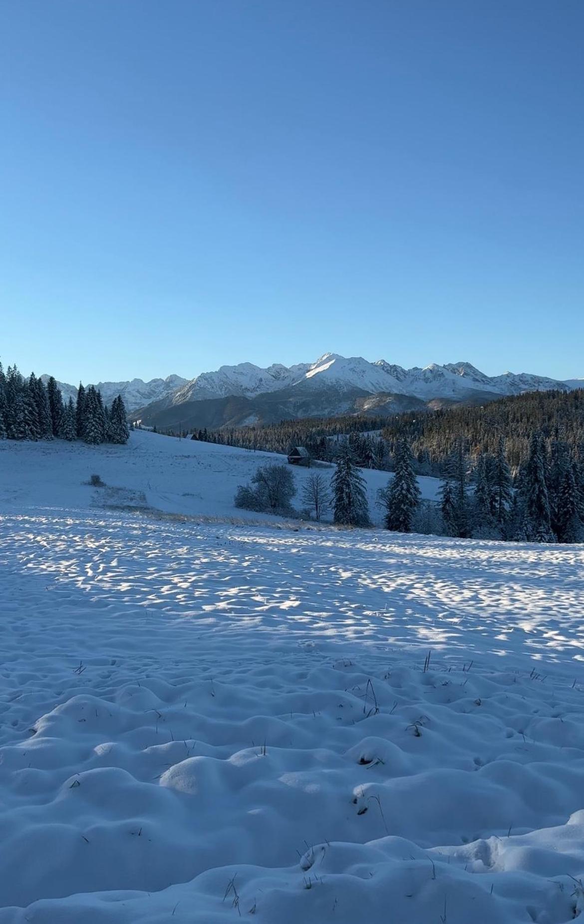 Апартаменты Tatra Widok Буковина-Татшаньска Экстерьер фото
